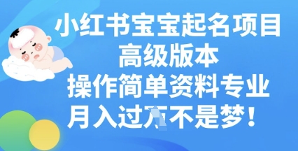 小红书宝宝起名项目高级版本,操作简单,资料专业,月入过W-网创联盟