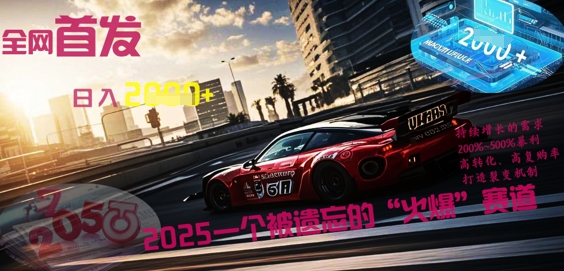 全网首发:2025一个被遗忘的“火爆”赛道轻松日入多张-网创联盟