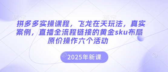 拼多多实操课程,飞龙在天玩法,真实案例,直播全流程链接的黄金sku布局原价操作六个活动-网创联盟