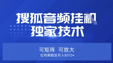 【搜狐音频挂G】独家技术,可矩阵可放大,红利期稳定月入8k【揭秘】-网创联盟