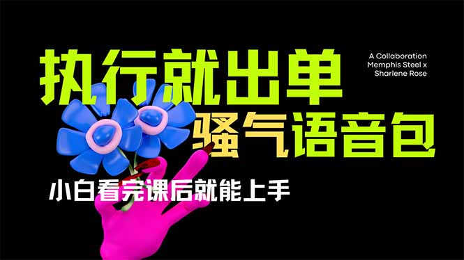 (14170期)爆火全网的开车导航骚气语音包,只要执行就出单,小白看完课程就能实操...-网创联盟