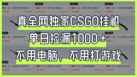 真全网独家CSGO挂G,单日捡漏1k+【揭秘】-网创联盟